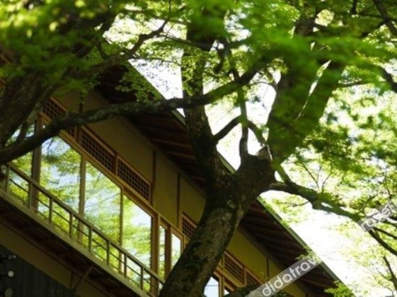 Gallery - Hoshinoya