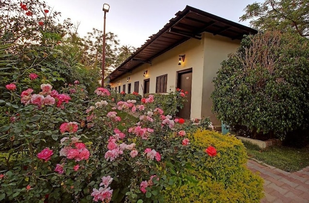 Gallery - Hill 'N' You - A Boutique Garden Resort