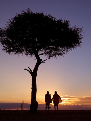Gallery - Ashnil Mara Camp