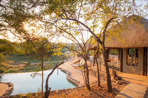 Gallery - Garonga Safari Camp