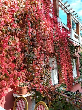 Gallery - Hostal Montsoliu
