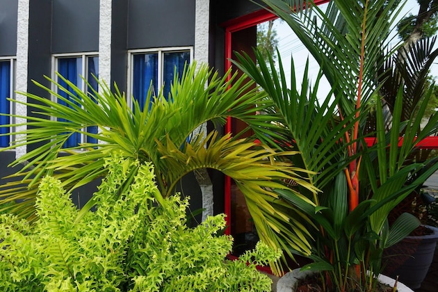 Gallery - Holland Lodge Paramaribo