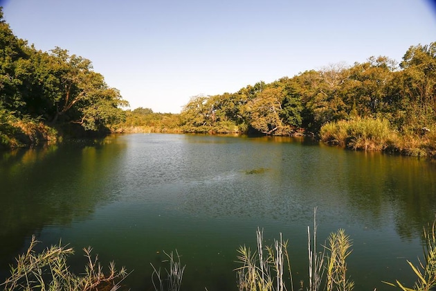 Gallery - The Island River Lodge
