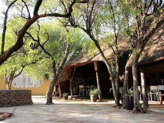 Gallery - Ukutula Lion Lodge
