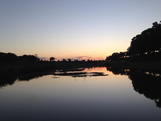 Gallery - The Baobab Bush Lodge