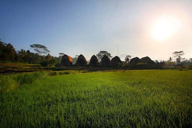 Gallery - De Klumpu Bali – Eco Tradi Stay