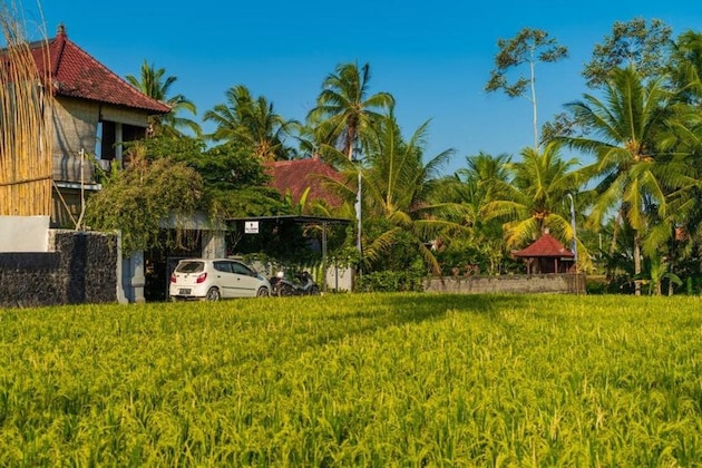 Gallery - Villa Di Sawah Pejeng