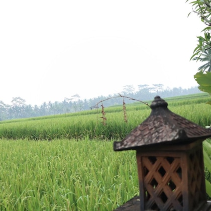 Gallery - Villa Jj And Spa Ubud