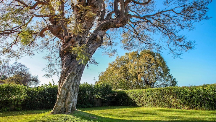 Gallery - Quinta Das Malvas