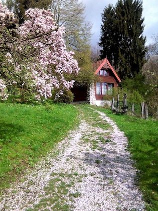 Gallery - Ekosamotnia Eco Dream Pension