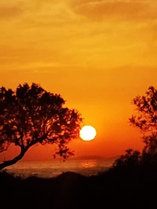 Gallery - Mare Nostrum Santo