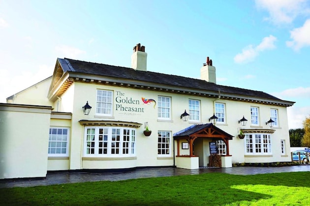 Gallery - The Golden Pheasant