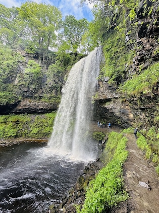 Gallery - Ynys Arms