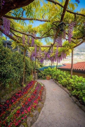 Gallery - Il Roseto