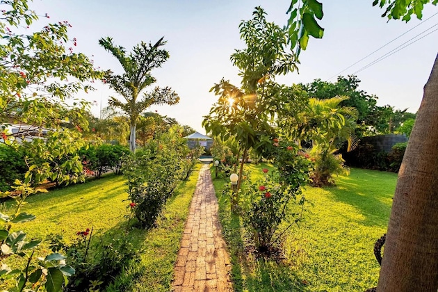 Gallery - Dzimbahwe Guest Lodge