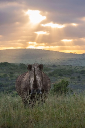 Gallery - Riverdene Family Lodge