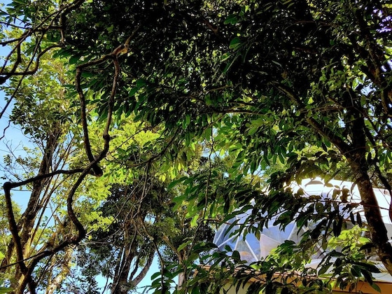 Gallery - Chira Glamping Resort Monteverde