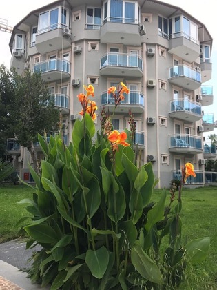 Gallery - Rios Latte Beach Hotel
