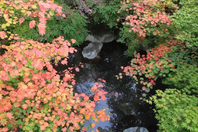 Gallery - Yumoto Chouza