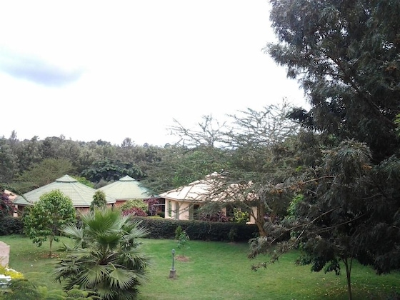 Gallery - Flamingo Safari Lodge