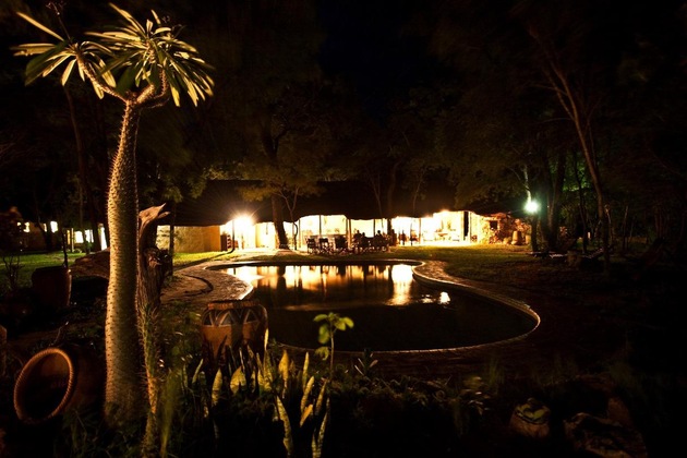 Gallery - Miombo Safari Camp