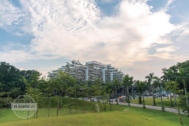 Gallery - Forest In The Sky – Flamingo Dai Lai Resort