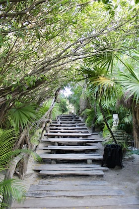 Gallery - Kimpton Aluna Tulum By Ihg