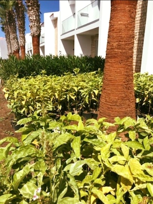 Gallery - Robinson Cabo Verde - Adults Only