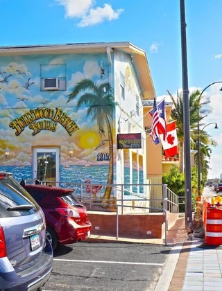 Gallery - Hollywood Beach Seagull