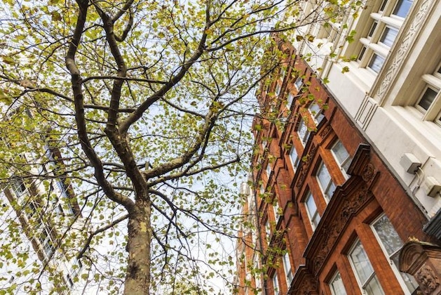 Gallery - Native Leicester Square