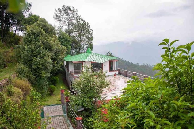 Gallery - Blue Pine Resort