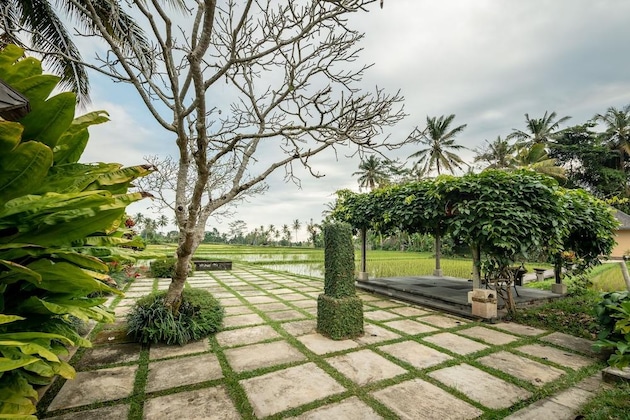 Gallery - Villa Vajra