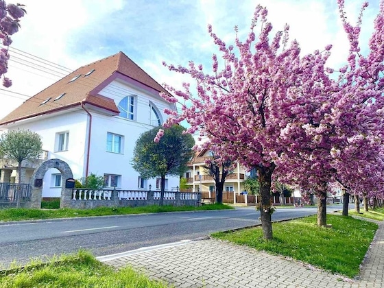 Gallery - Amadeus Villa