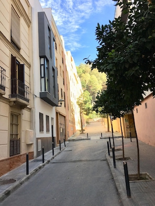 Gallery - Centro Picacho