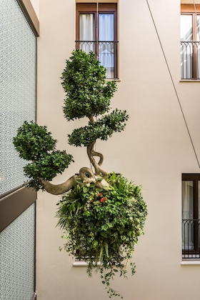 Gallery - Hotel El Llorenç Parc De La Mar - Adults Only
