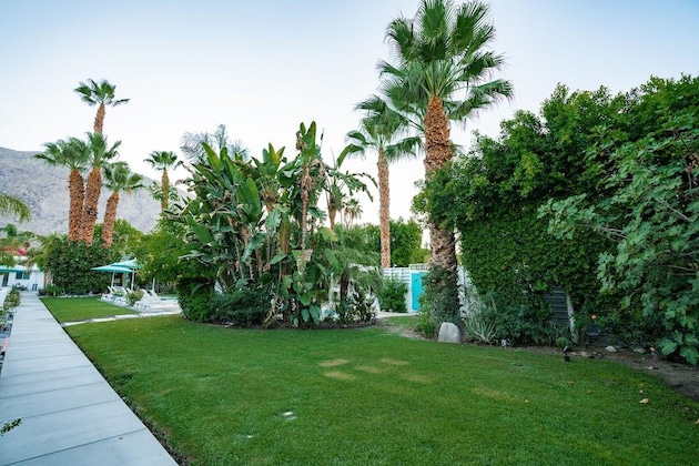 Gallery - Bellevue Oasis-Palm Springs - Adults Only