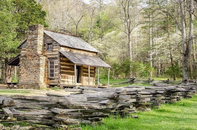 Gallery - Lazy Cub Lodge