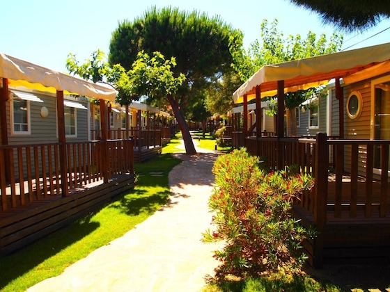 Gallery - Alannia Costa Dorada