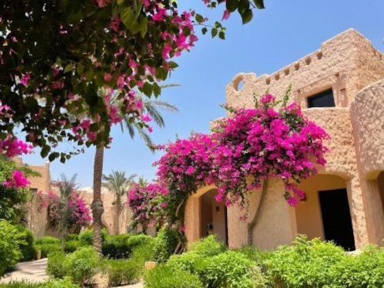 Gallery - TH Blue Lagoon - Marsa Alam