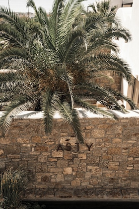 Gallery - Asty Mykonos Hotel & Spa -World Of One Hotel Group