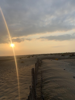 Gallery - Camping Abri De Camargue