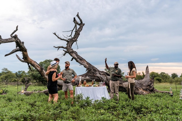 Gallery - Shumbalala Game Lodge