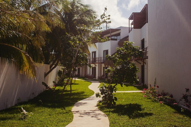 Gallery - Blue Holbox