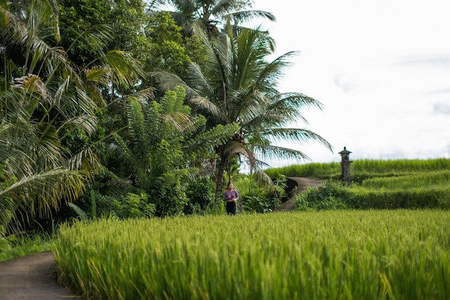 Gallery - Hideaway Villas Bali – Ubud By Kanaan Hospitality