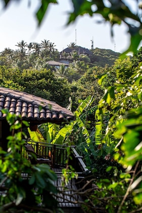 Gallery - Sombra E Agua Fresca Floresta