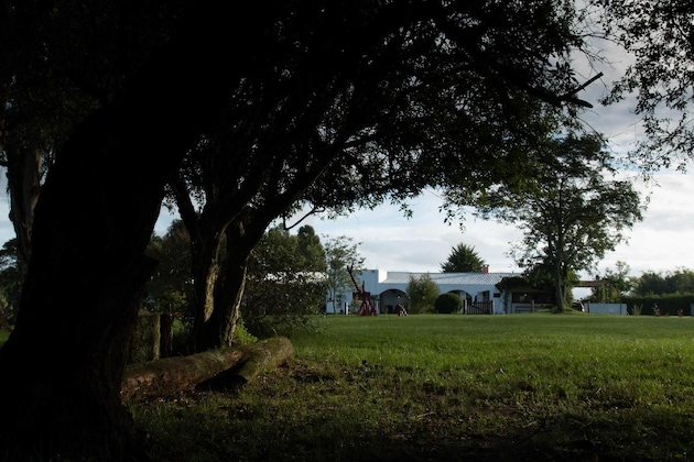 Gallery - Campo Abierto