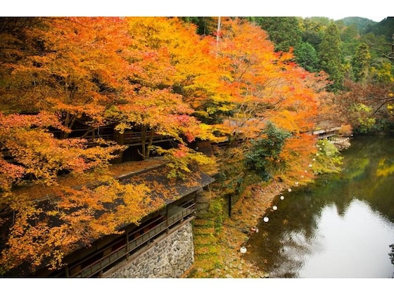 Gallery - Momijiya Honkan Takao Sansou Mountain Villa Ryokan