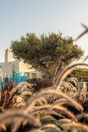Gallery - Nilea Island Living