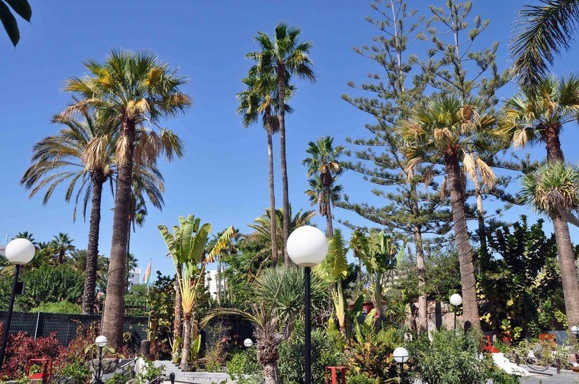 San Valentin & Terraflor park, Playa del Inglés desde 26