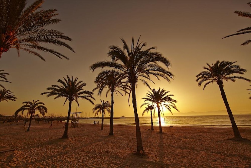 Hostales Economicos En Palma De Mallorca